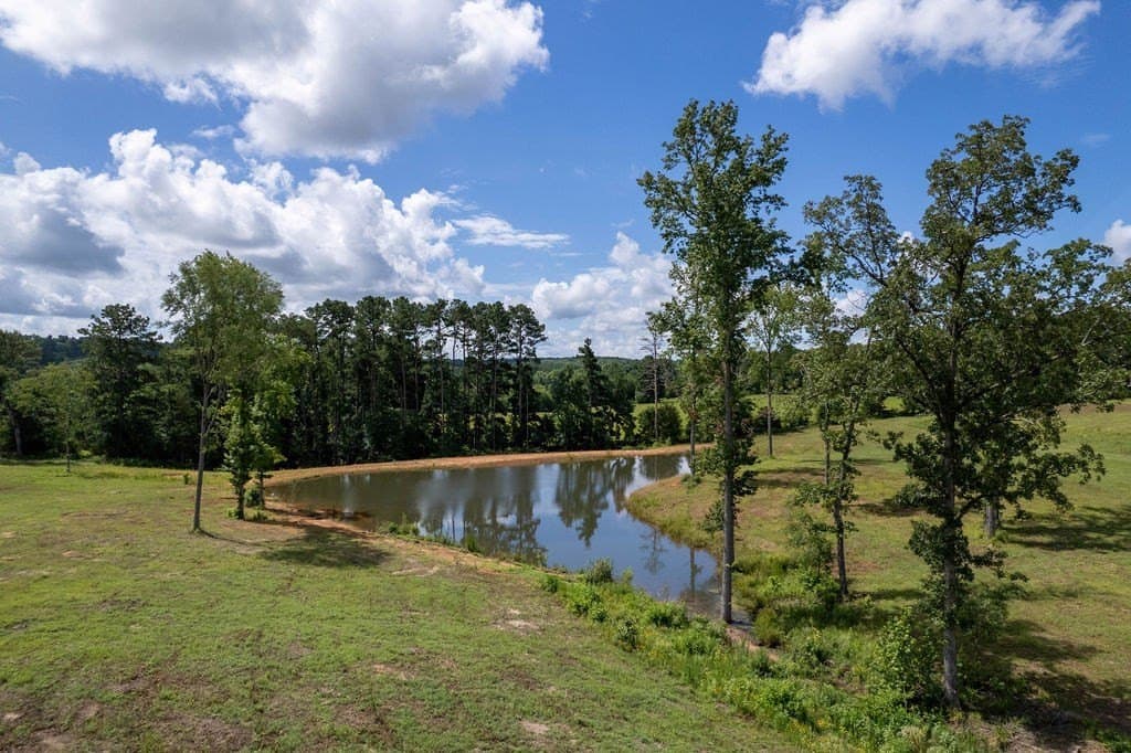 49 acres in ANDERSON County - photo 44