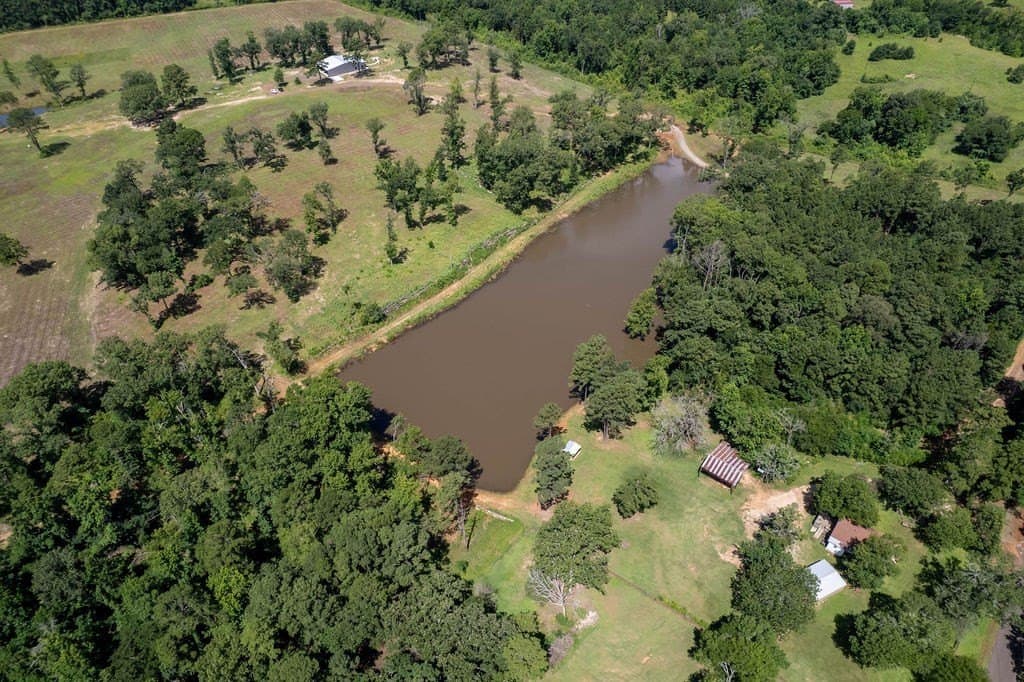 49 acres in ANDERSON County - photo 51