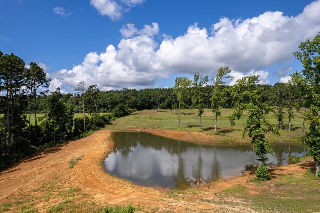 49 acres in ANDERSON County - photo 48