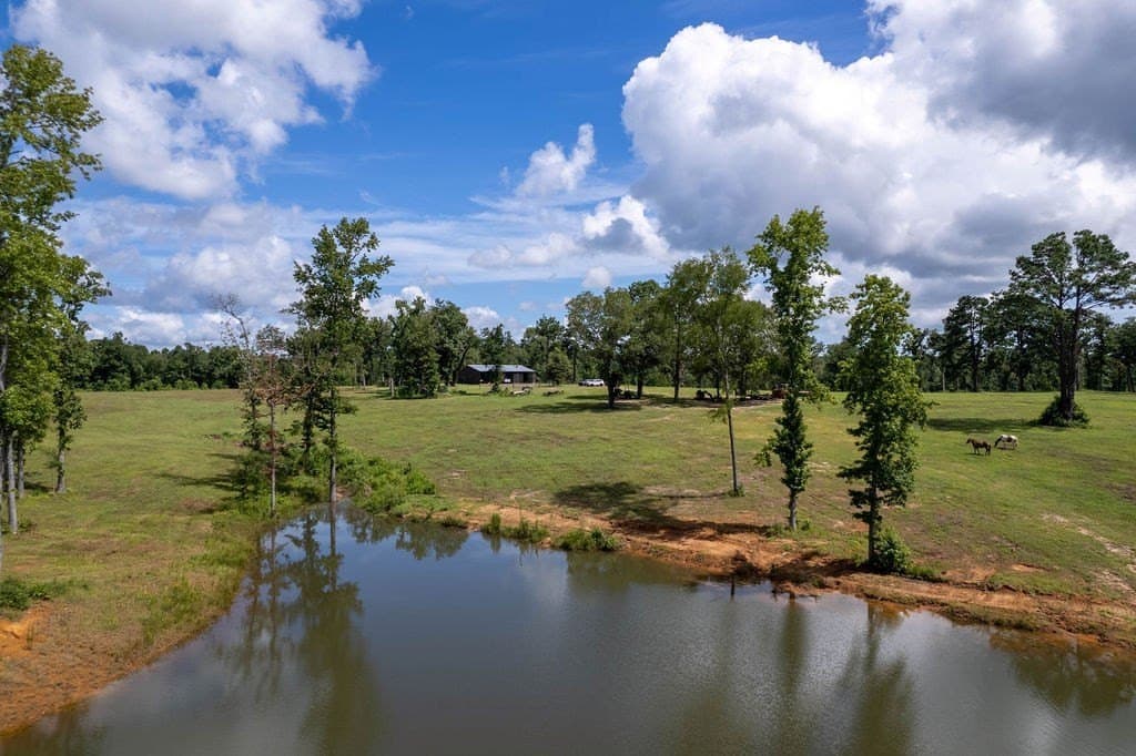 49 acres in ANDERSON County - photo 2