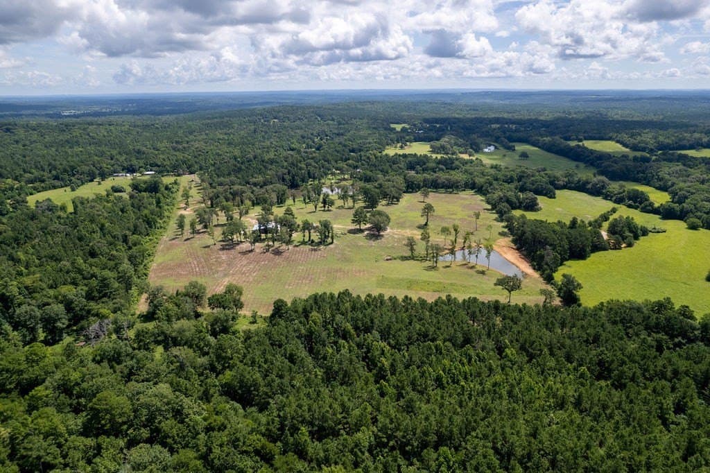49 acres in ANDERSON County - photo 36