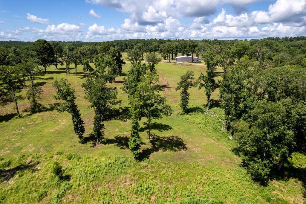 49 acres in ANDERSON County - photo 42