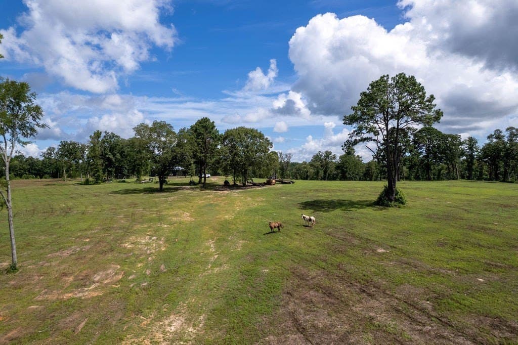 49 acres in ANDERSON County - photo 49