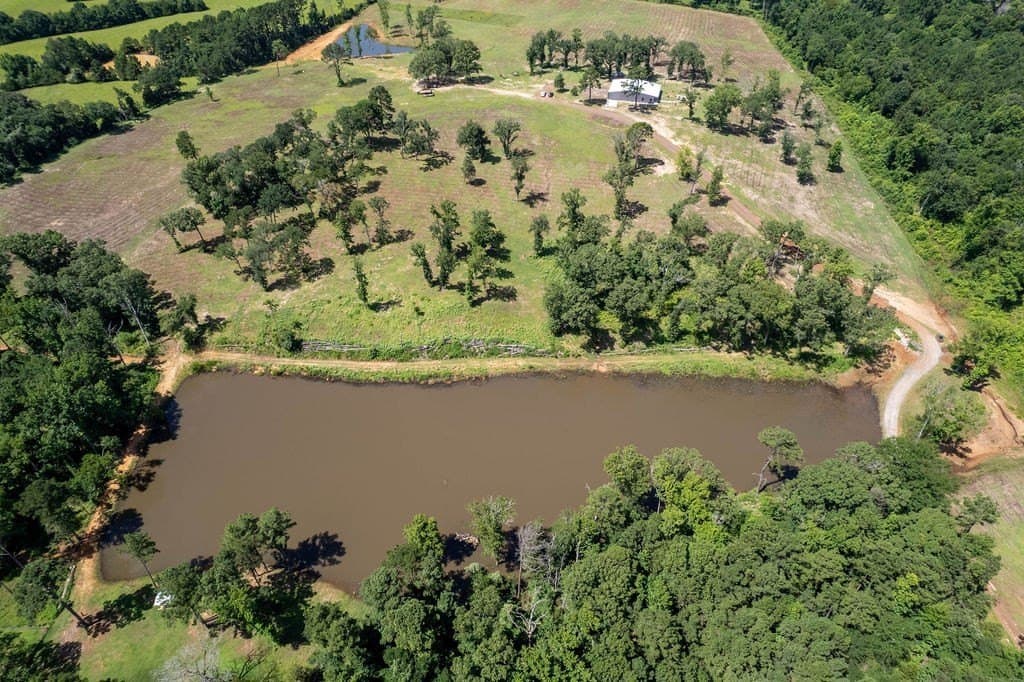 49 acres in ANDERSON County - photo 40