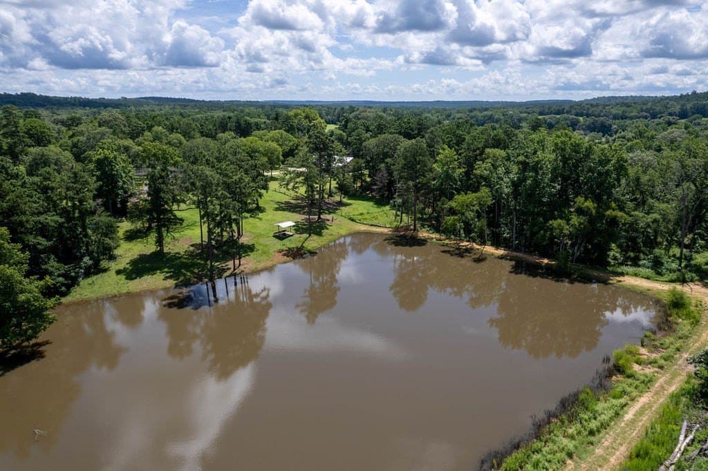 49 acres in ANDERSON County - photo 41