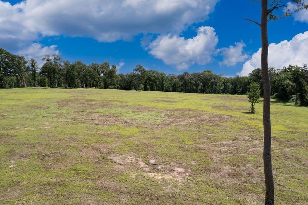 49 acres in ANDERSON County - photo 50