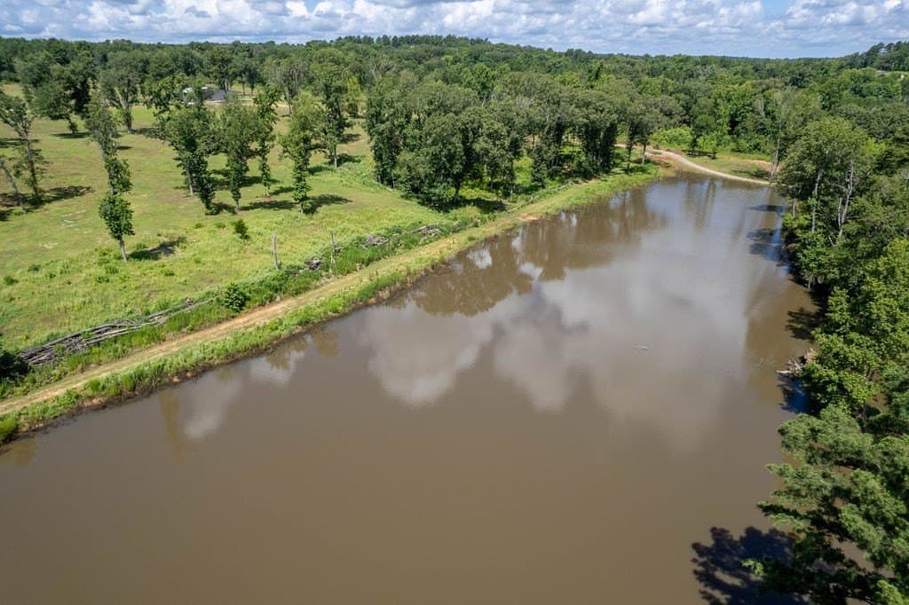 49 acres in ANDERSON County - photo 43