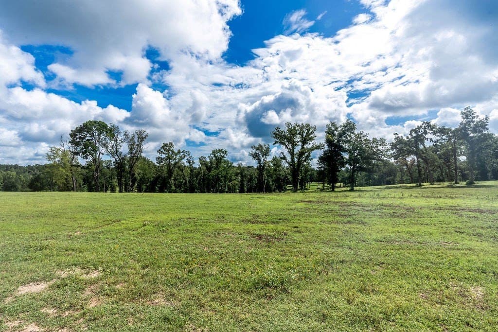 49 acres in ANDERSON County - photo 38