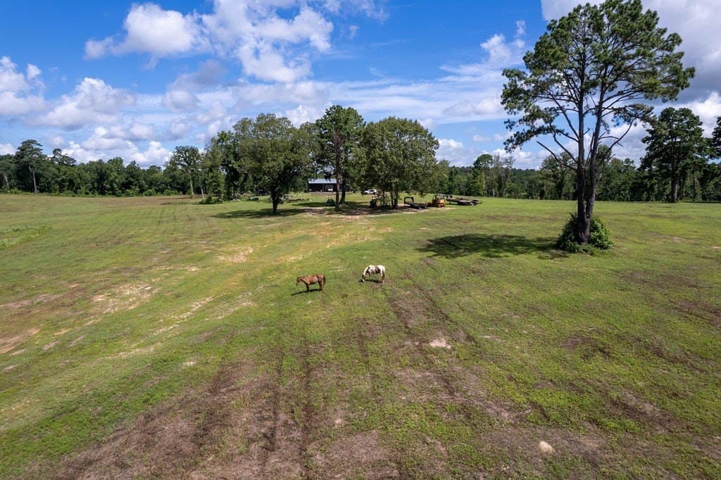49 acres in ANDERSON County - photo 52
