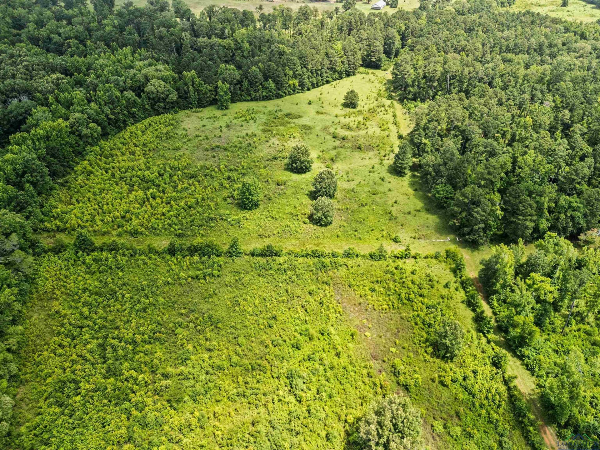 721 acres in Harrison County - photo 10