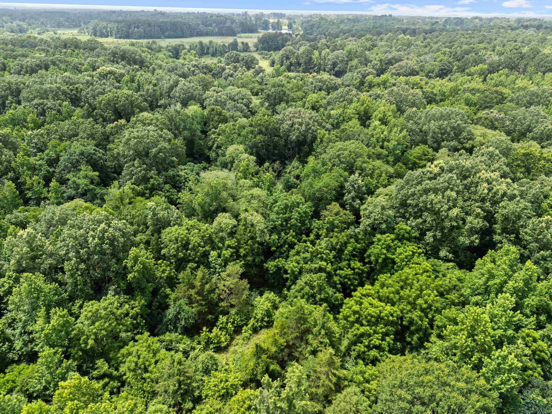 721 acres in Harrison County - photo 14