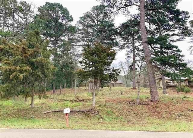 0.43 acres in Smith County - photo 4
