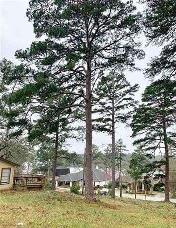 0.43 acres in Smith County - photo 3