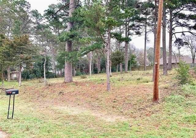0.43 acres in Smith County - photo 6