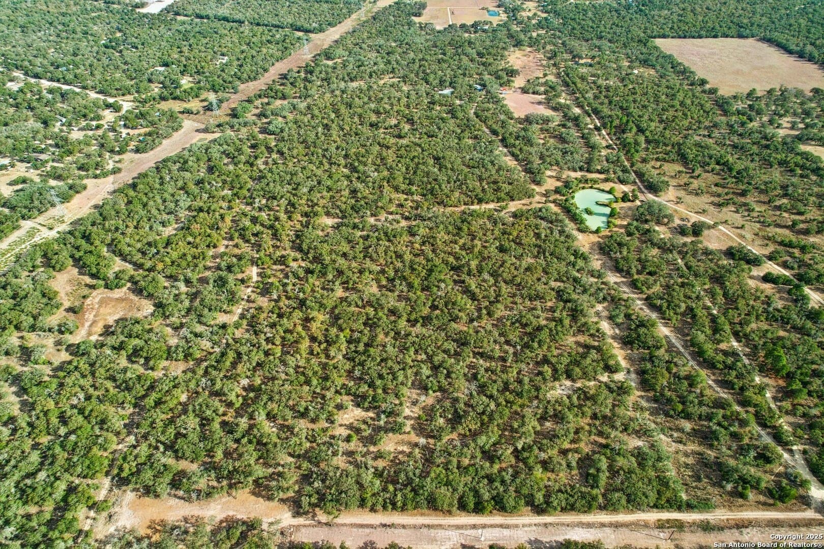 80 acres in Guadalupe County - photo 3