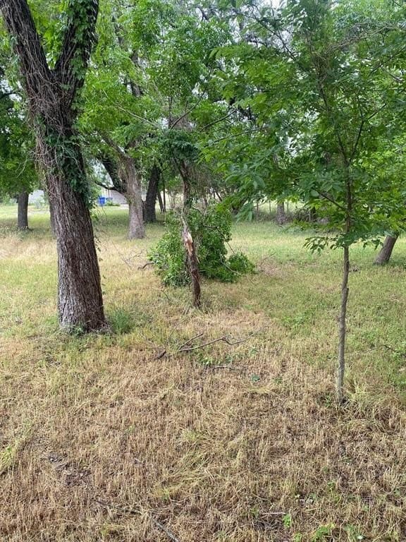 0.16 acres in McLennan County - photo 6