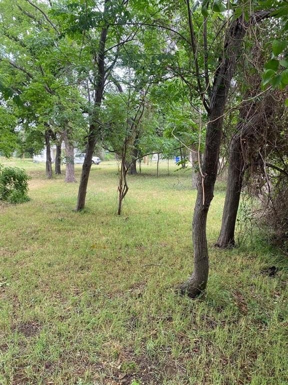 0.16 acres in McLennan County - photo 7