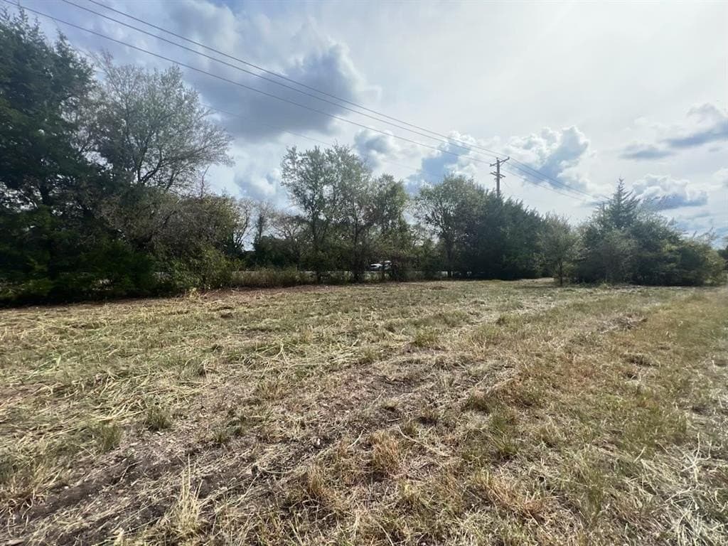 0.69 acres in Dallas County - photo 3