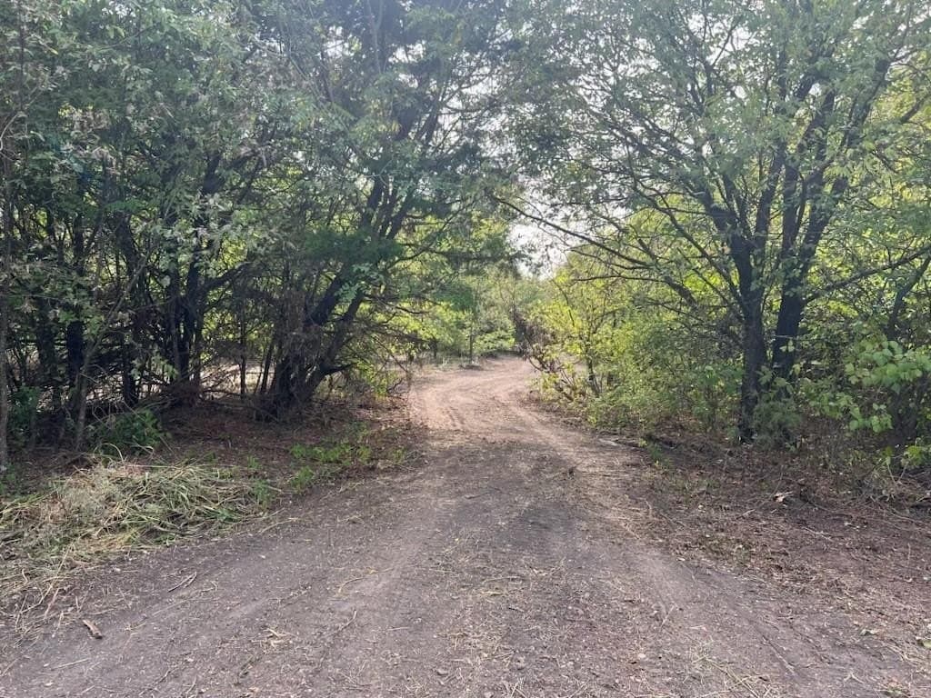 0.69 acres in Dallas County - photo 10