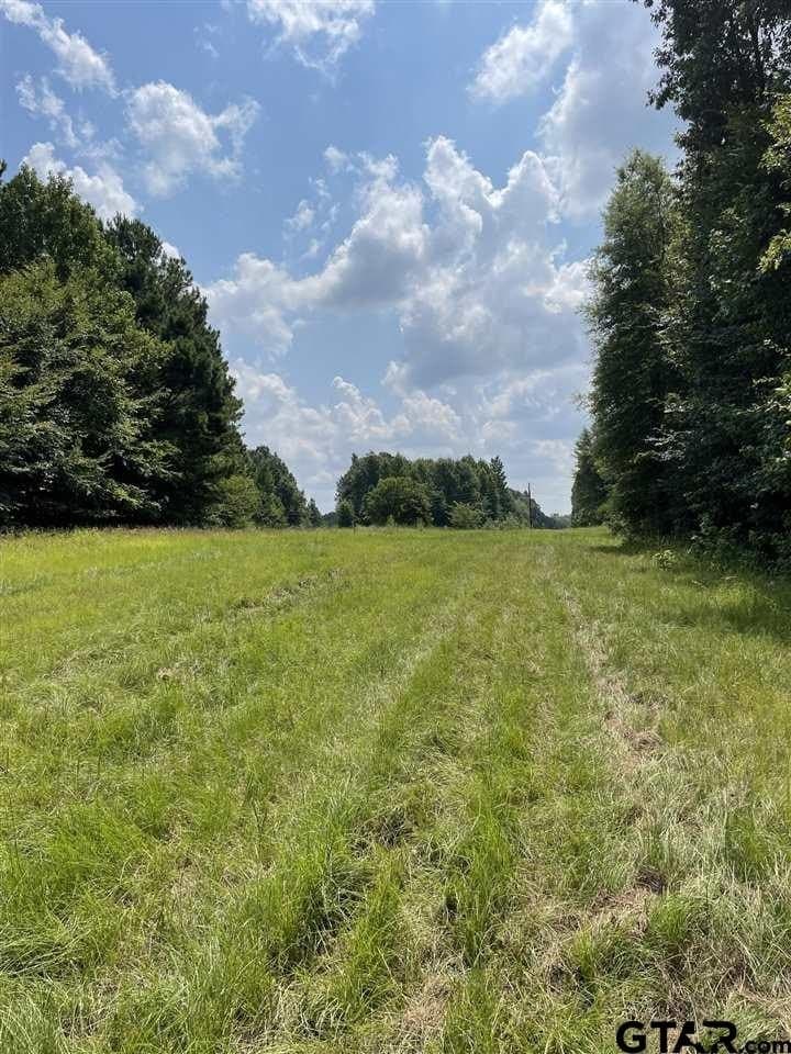 100 acres in Gregg County - photo 4