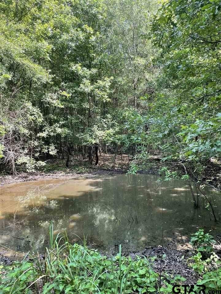 100 acres in Gregg County - photo 8