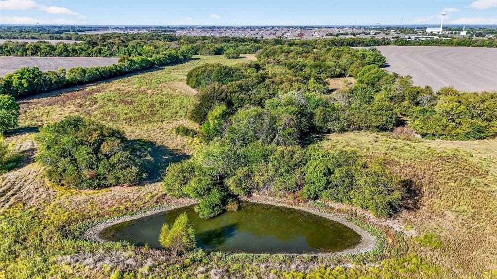 130.44 acres in Collin County - photo 25
