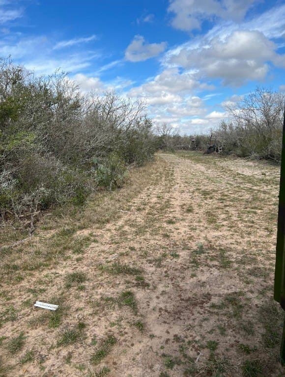 10.1 acres in Duval County - photo 3