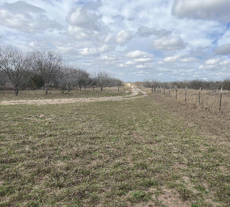 10.1 acres in Duval County - photo 6