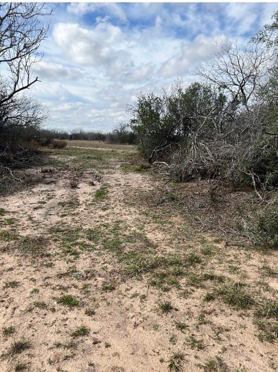 10.1 acres in Duval County - photo 7