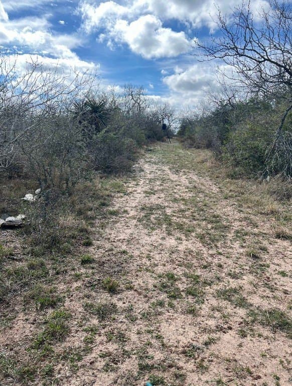 10.1 acres in Duval County - photo 8