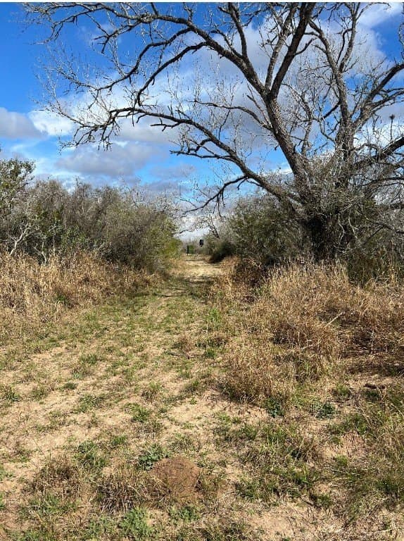 10.1 acres in Duval County - photo 9