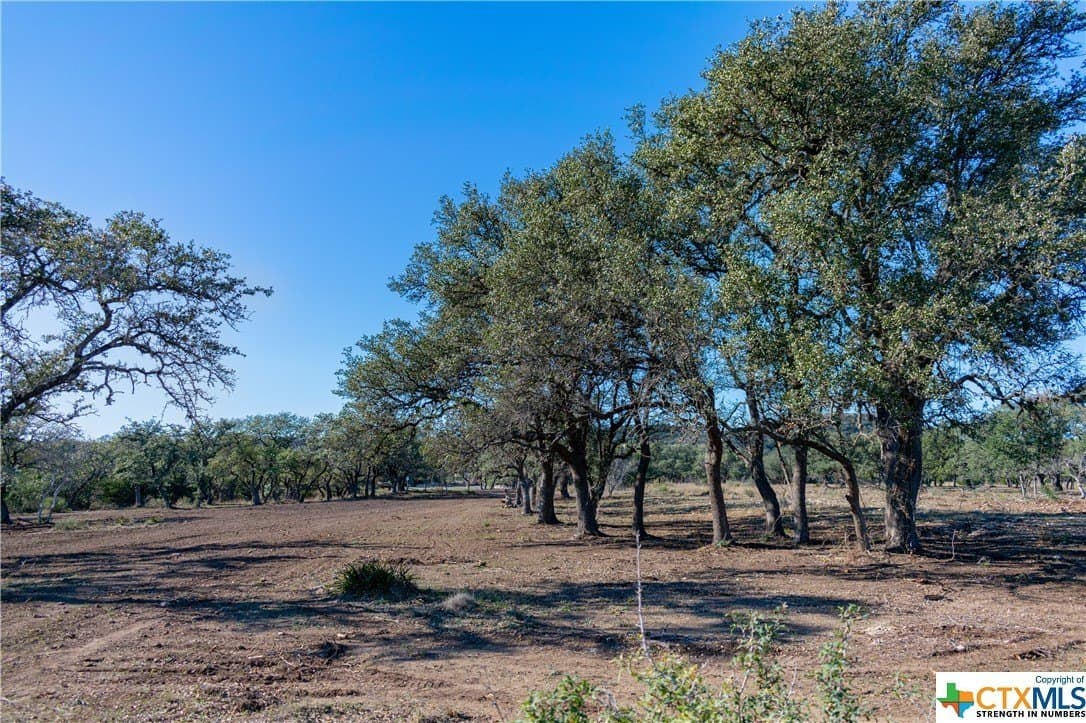 10.04 acres in Blanco County - photo 8