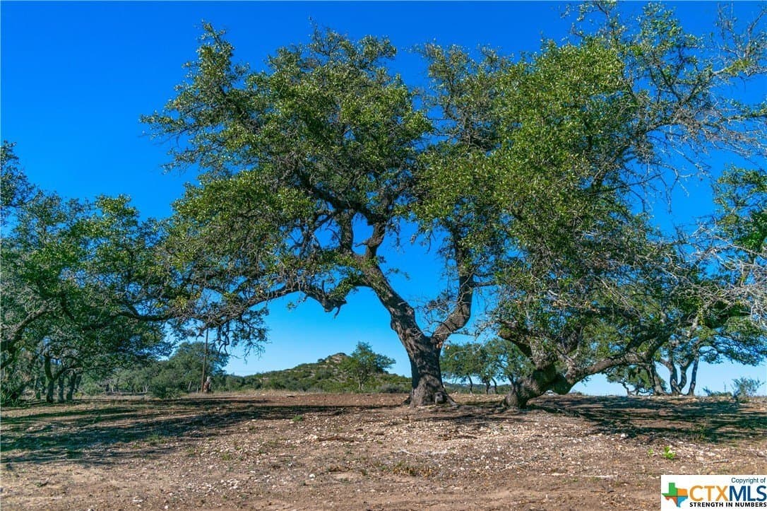10.04 acres in Blanco County - photo 3