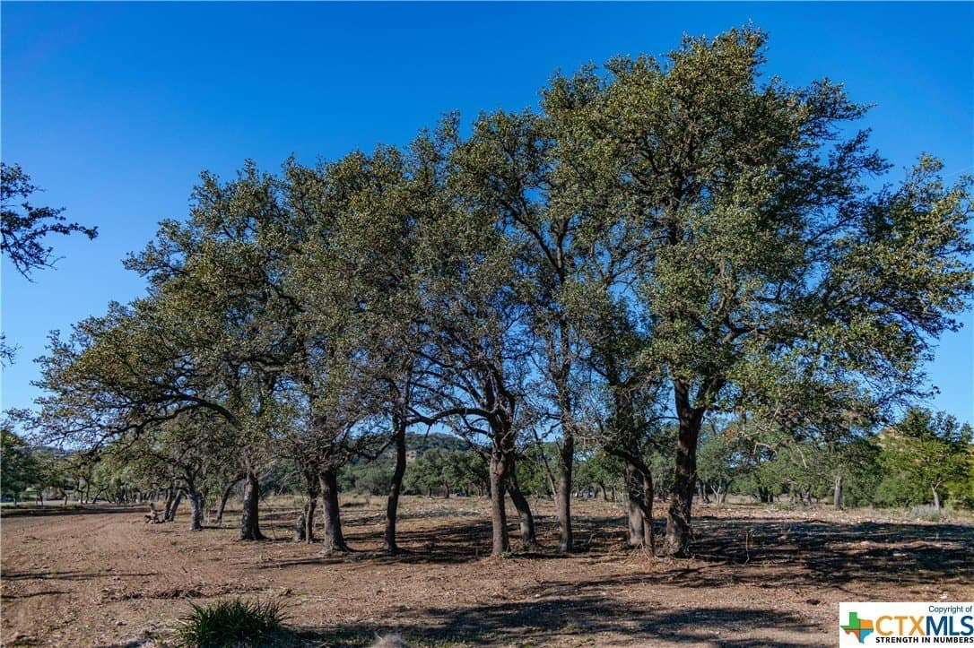 10.04 acres in Blanco County - photo 5