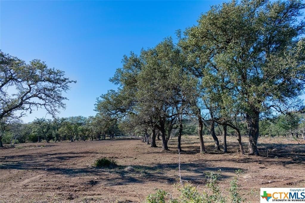 10.04 acres in Blanco County - photo 10