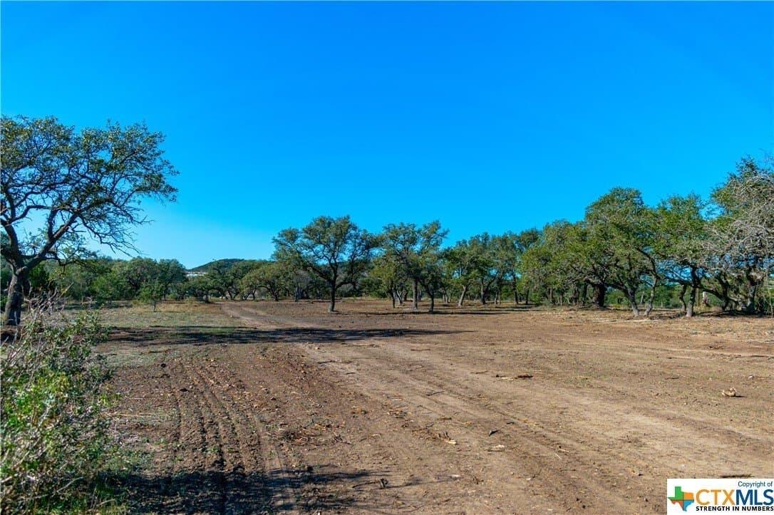 10.04 acres in Blanco County - photo 4