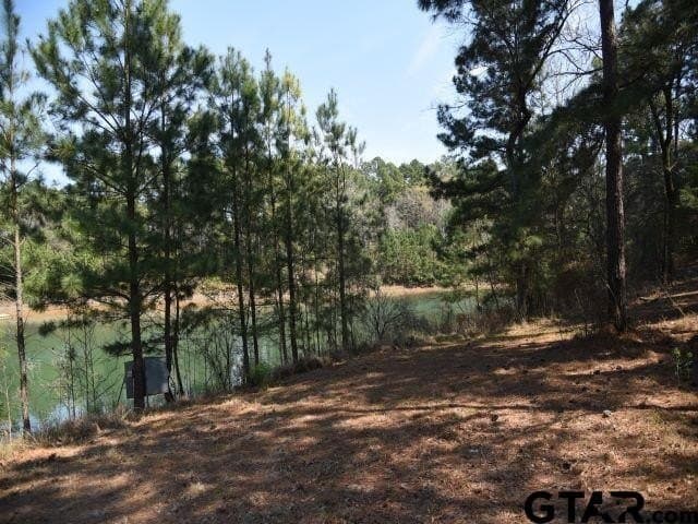 3.08 acres in Anderson County - photo 21