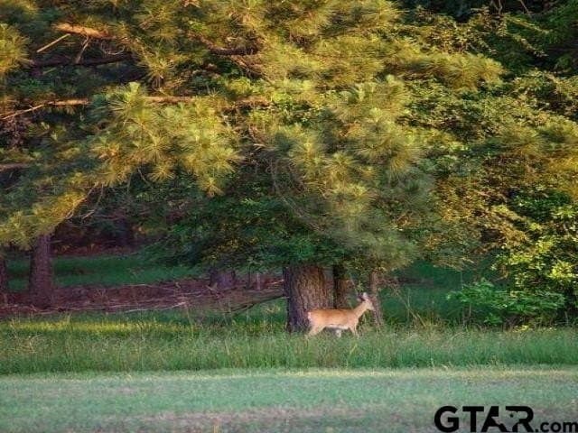 3.08 acres in Anderson County - photo 19