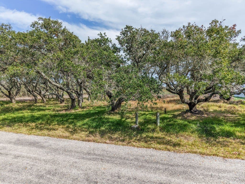 0 acres in Texas County - photo 10