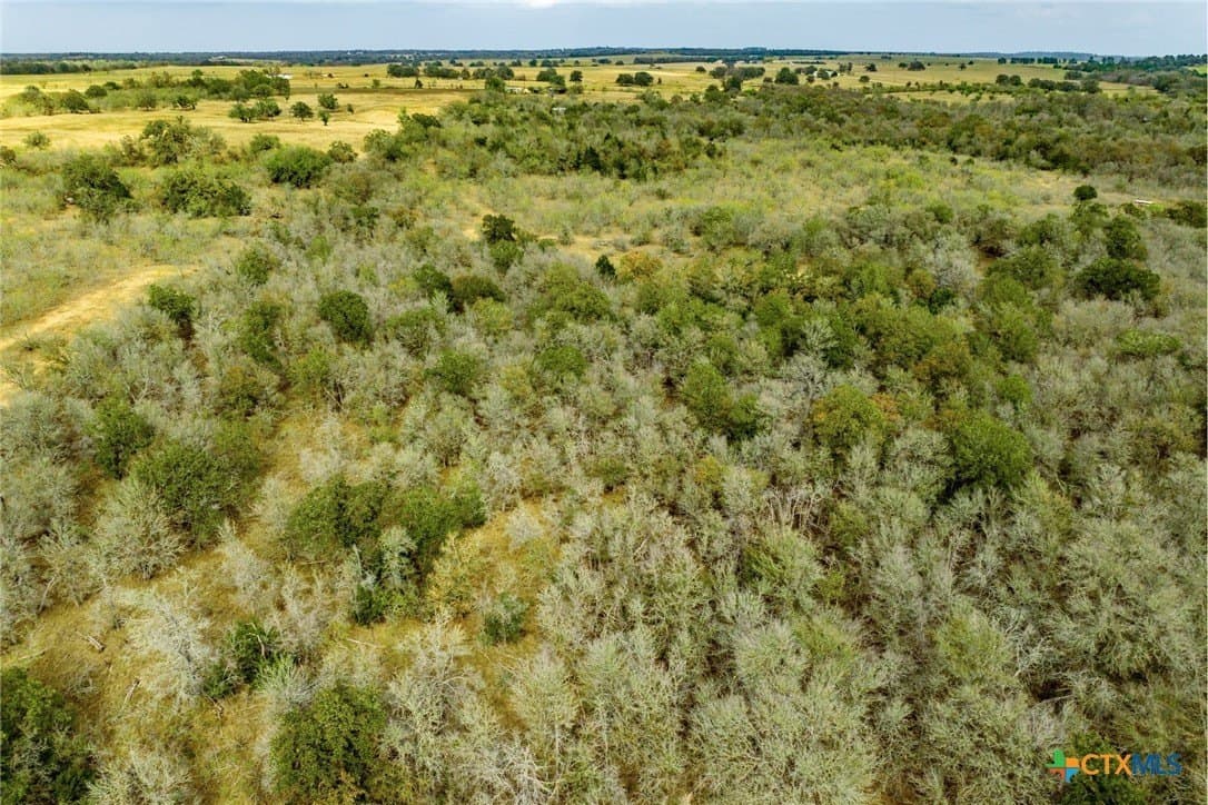 10.01 acres in Caldwell County - photo 6