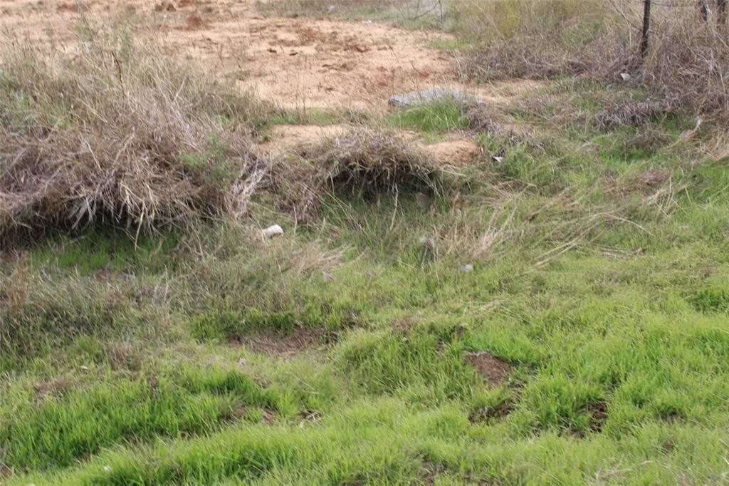 16 acres in Stephens County - photo 18