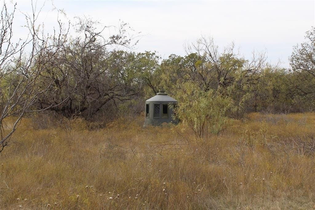 16 acres in Stephens County - photo 21