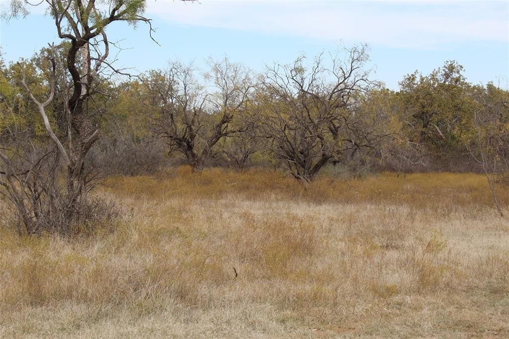 16 acres in Stephens County - photo 24