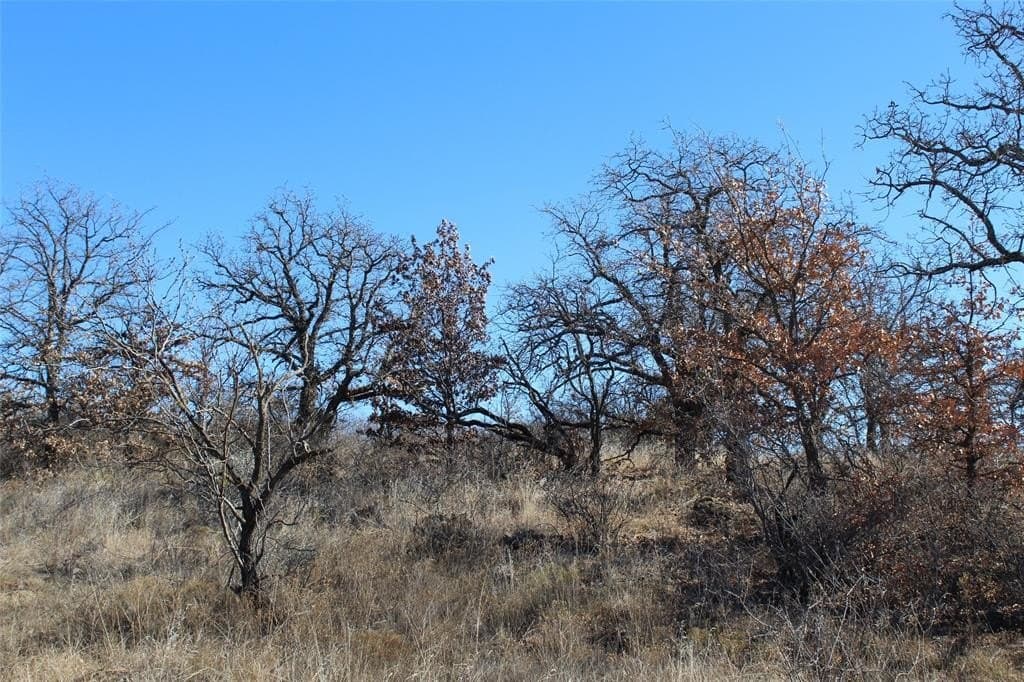 16 acres in Stephens County - photo 11