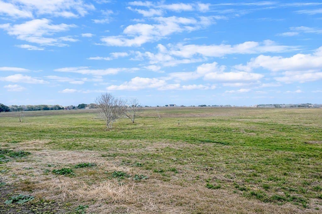 32.14 acres in Colorado County - photo 10