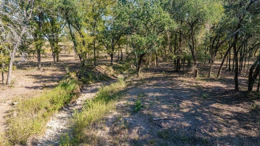 10 acres in Erath County - photo 25