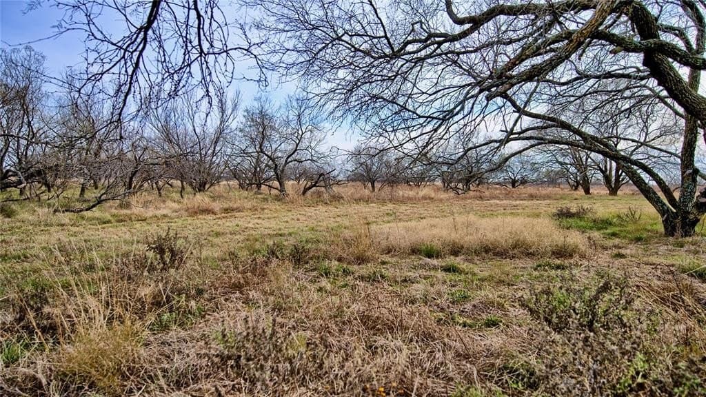 52.48 acres in Montague County - photo 7