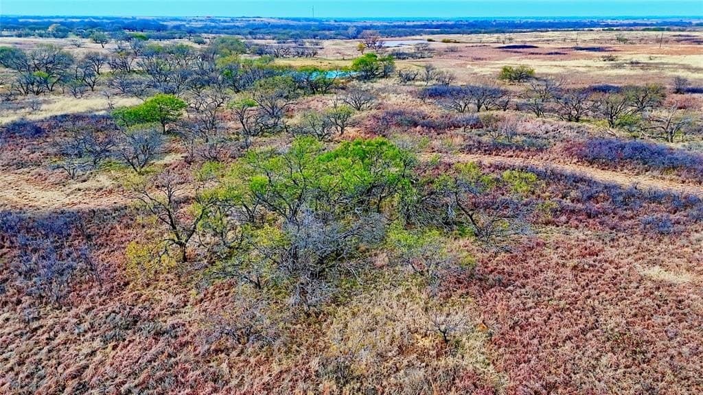 52.48 acres in Montague County - photo 10