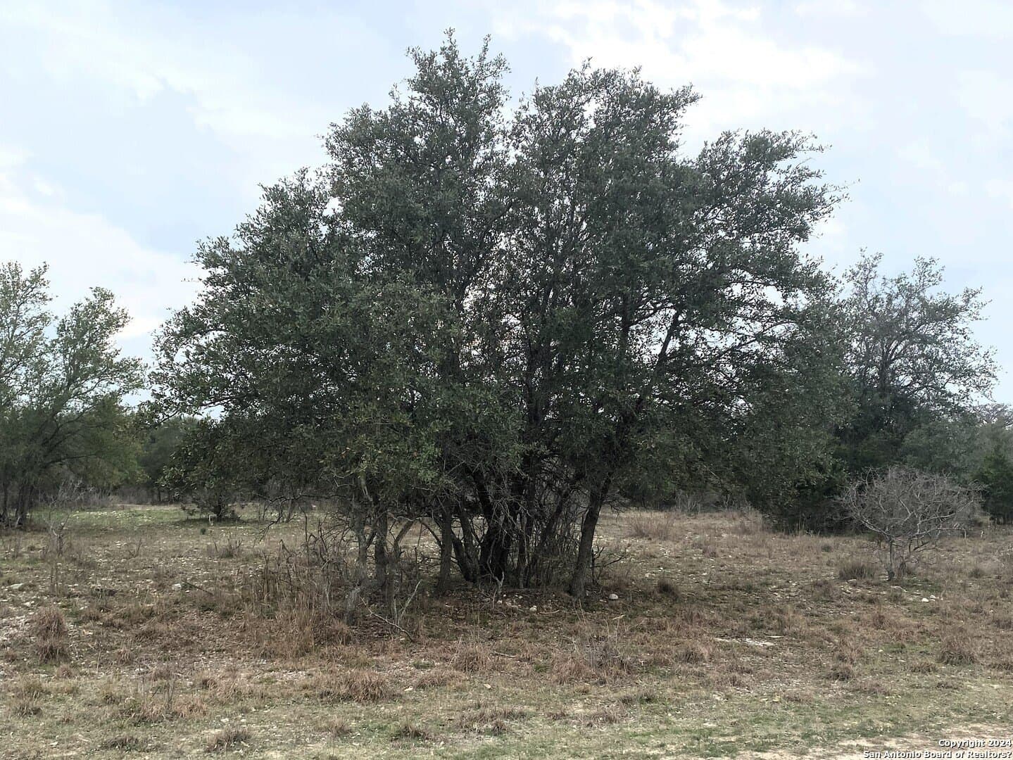 0.47 acres in Bandera County - photo 3