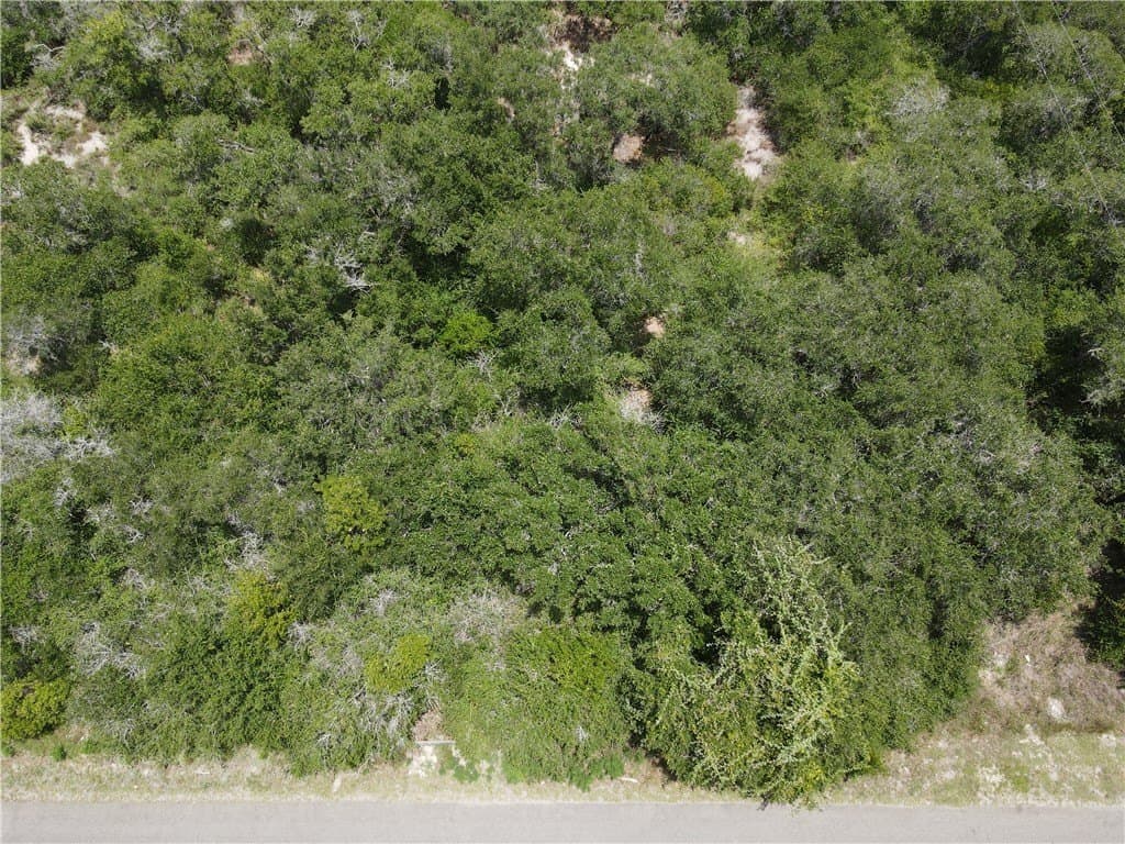 2.41 acres in San Patricio County - photo 3